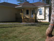 Then the sod is tamped down and watered...